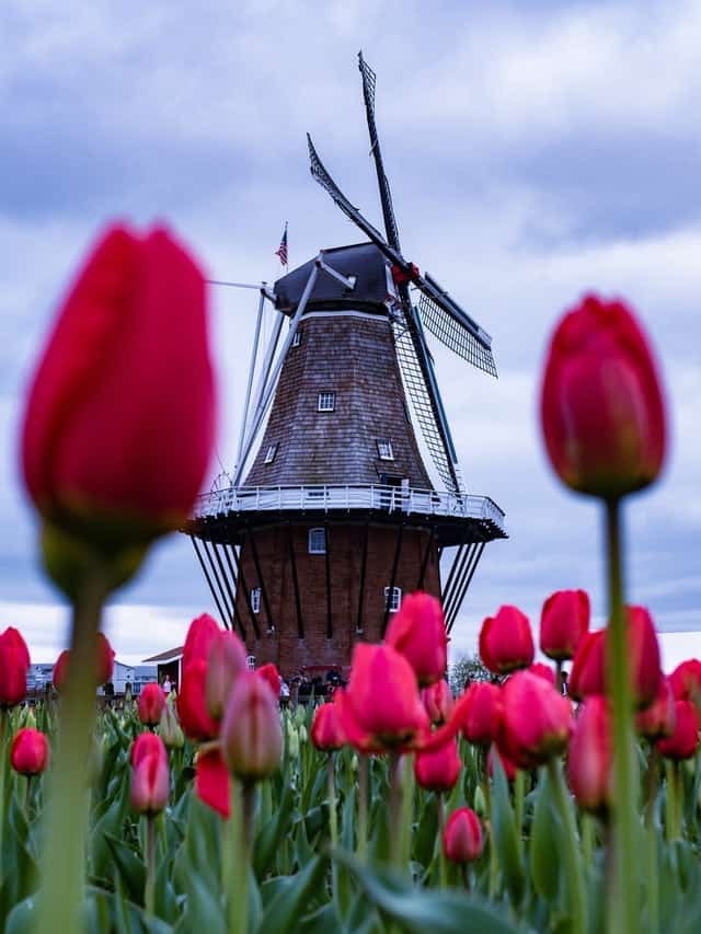 De mooiste uitjes in Nederland op een rijtje