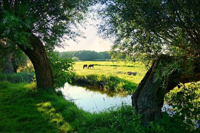 De natuur in